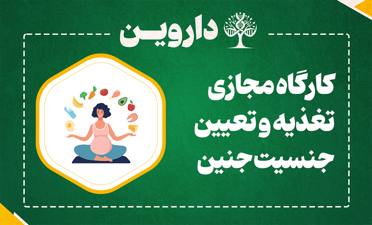 تغذیه و تعیین جنسیت جنین