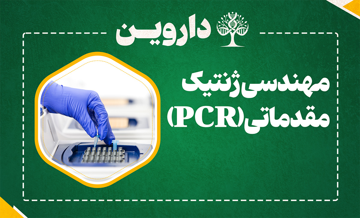 مهندسی ژنتیک مقدماتی (پی سی آر 
