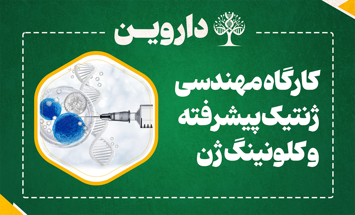 مهندسی ژنتیک پیشرفته و کلونینگ ژن