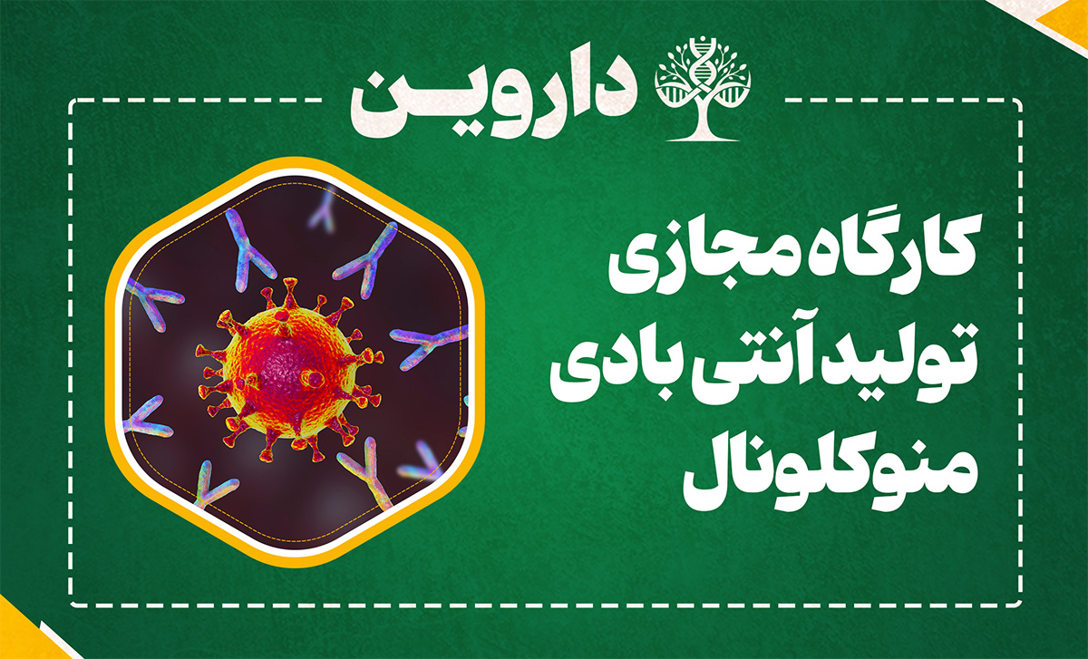 تولید آنتی بادی مونوکلونال