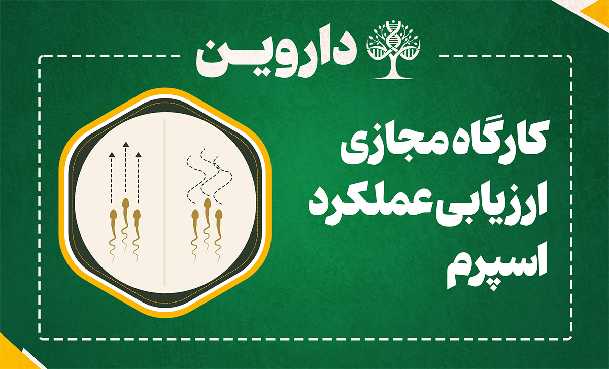 ارزيابی عملكرد اسپرم