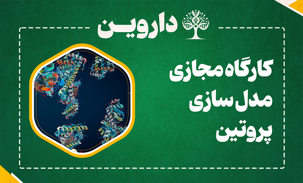 مدل سازی پروتین