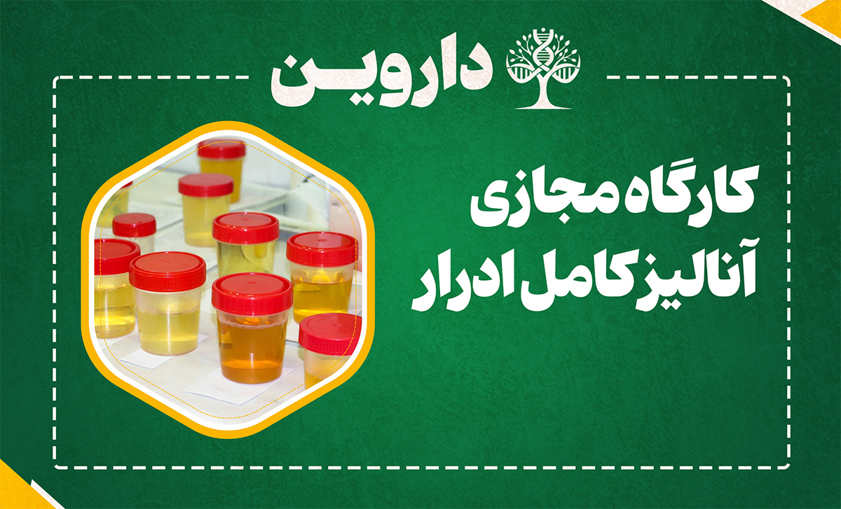 آنالیز کامل ادرار