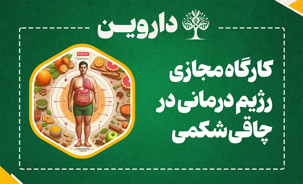 رژیم درمانی در چاقی شکمی