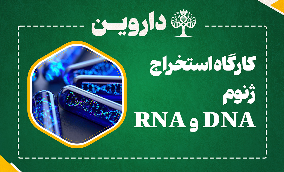 استخراج ژنوم RNA و DNA