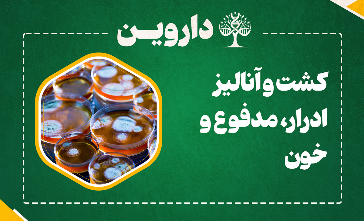 کشت و آنالیز ادرار، مدفوع و خون