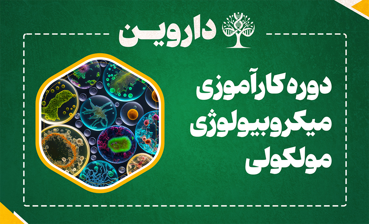 دوره کارآموزی بین المللی میکروبیولوژی مولکولی