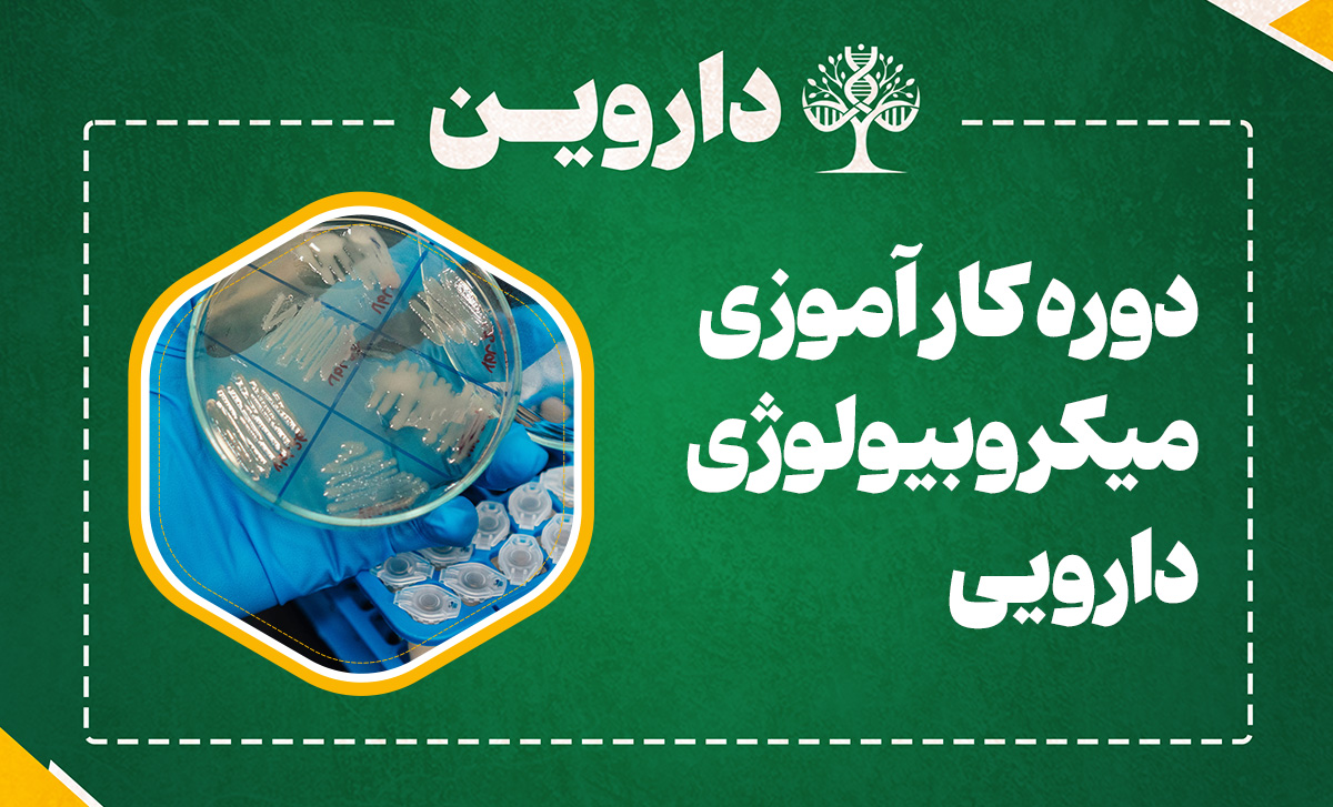 دوره کارآموزی بین المللی میکروبیولوژی دارویی