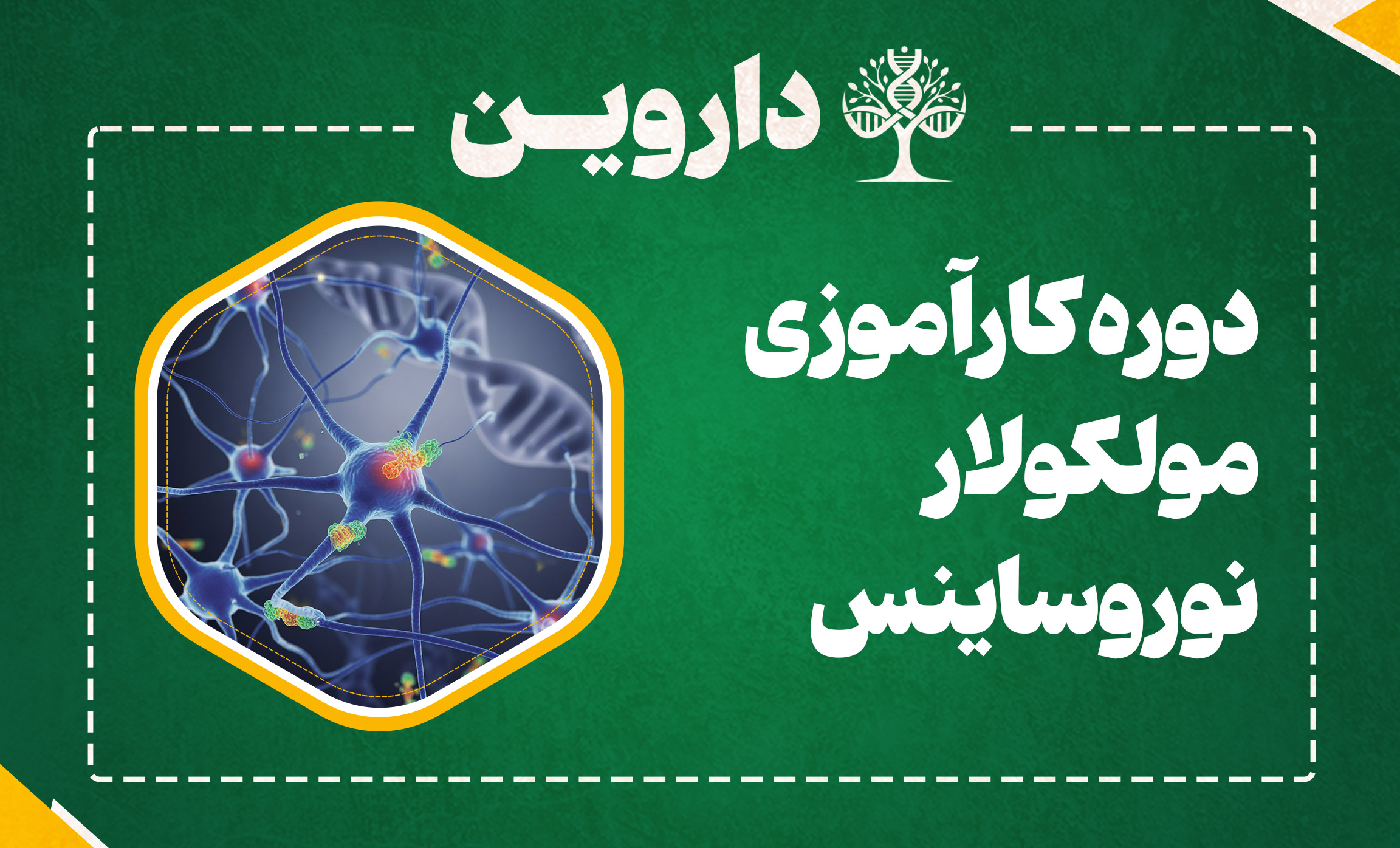 دوره کارآموزی بین المللی مولکولار نوروساینس 