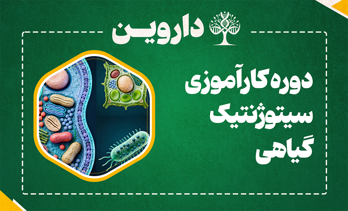 دوره کارآموزی بین المللی سیتوژنتیک گیاهی