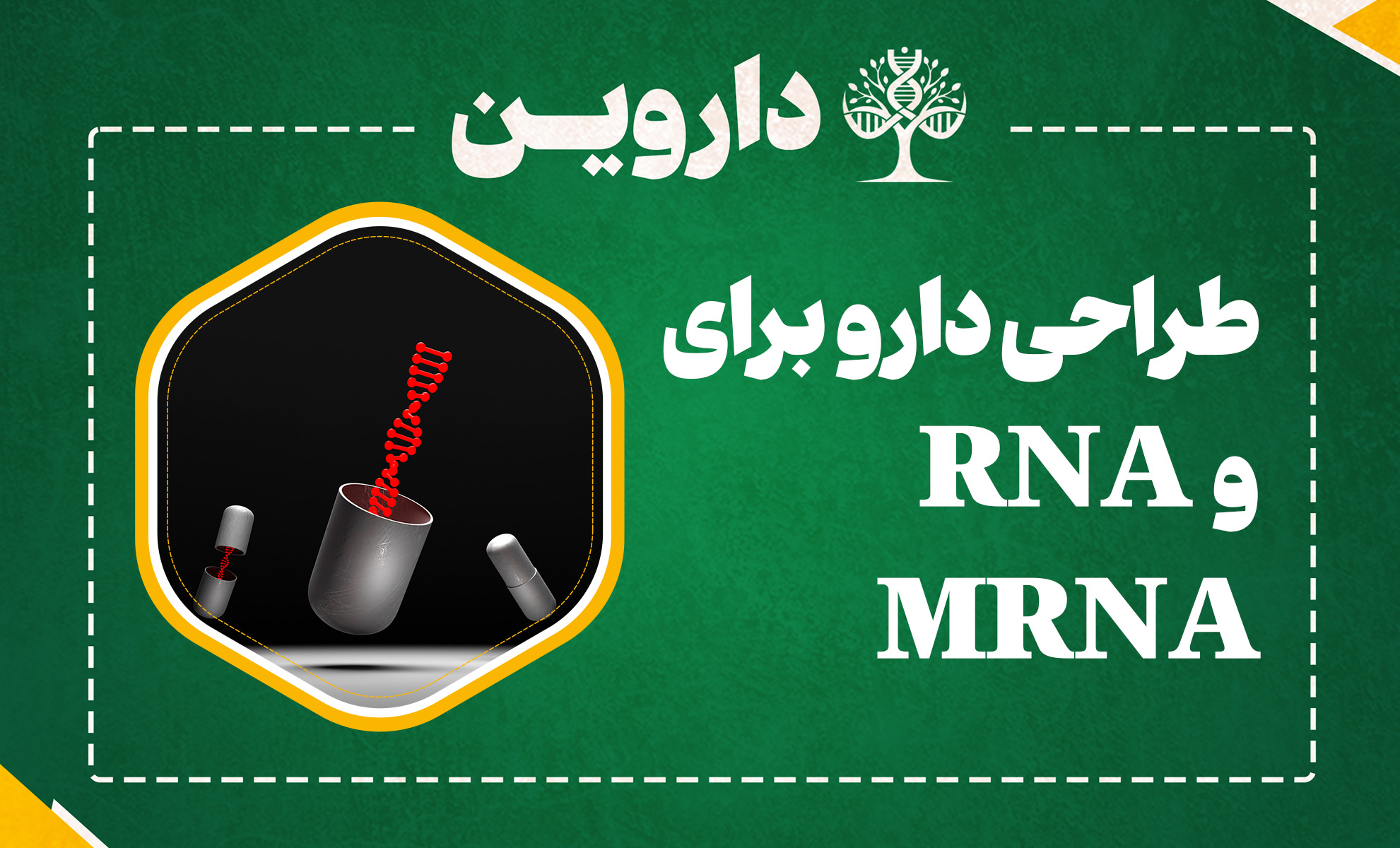 دوره کارآموزی بین المللی طراحی دارو برای RNA و mRNA