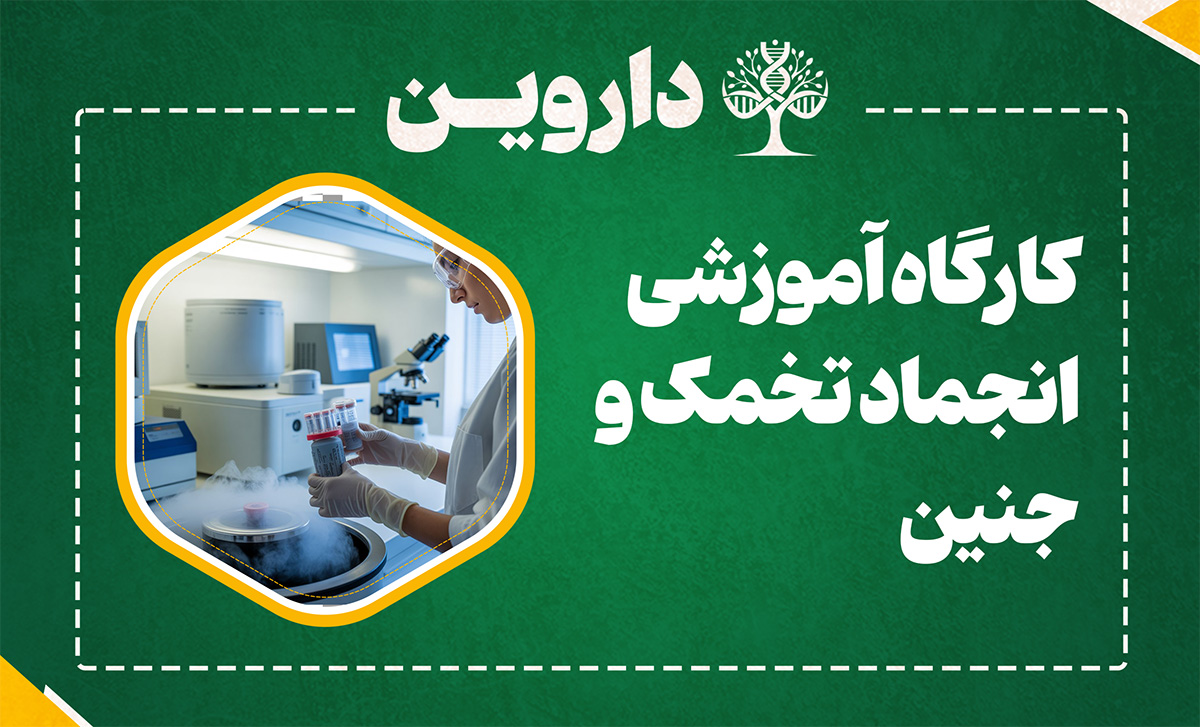 انجماد تخمک و جنین