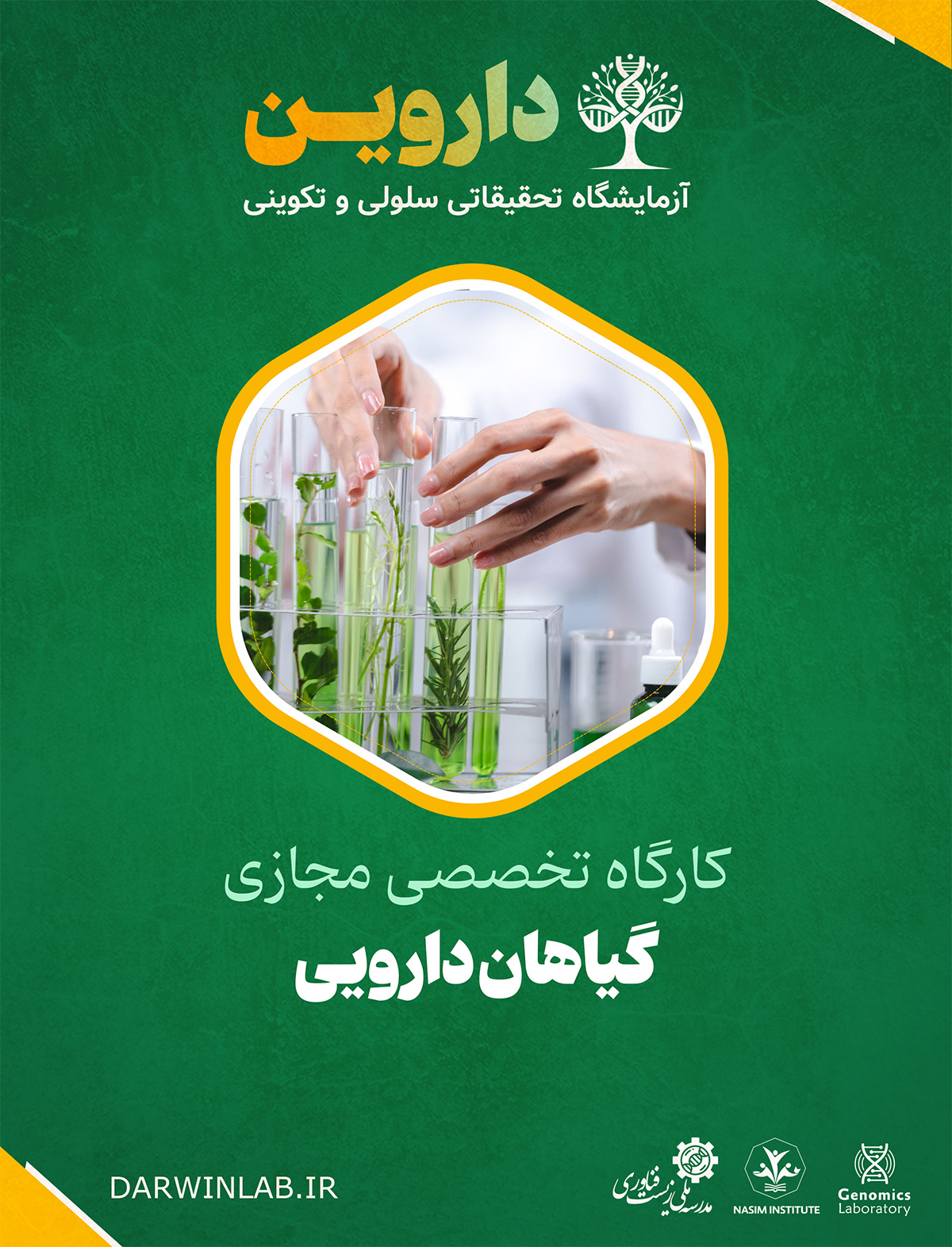 گیاهان دارویی