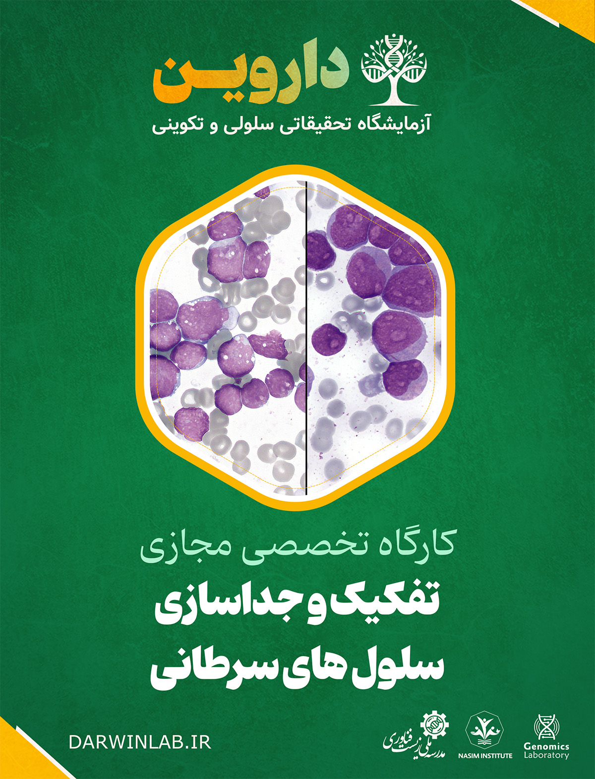 تفکیک و جداسازی سلول های سرطانی