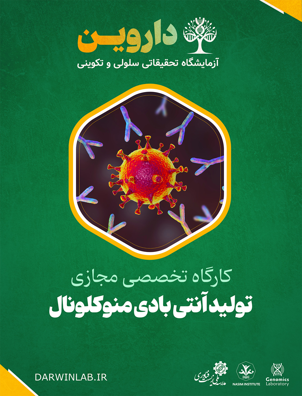 تولید آنتی بادی مونوکلونال