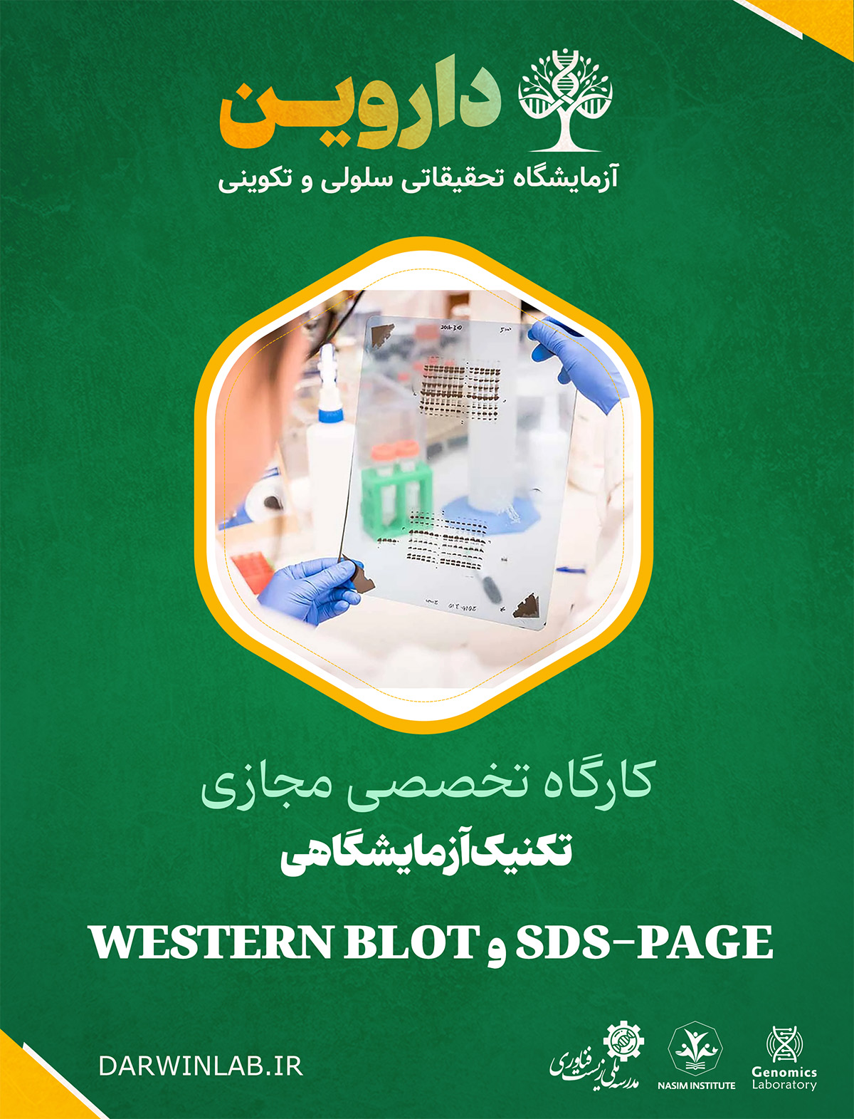 تکنیک آزمایشگاهی Western Blot (وسترن بلات) و SDS