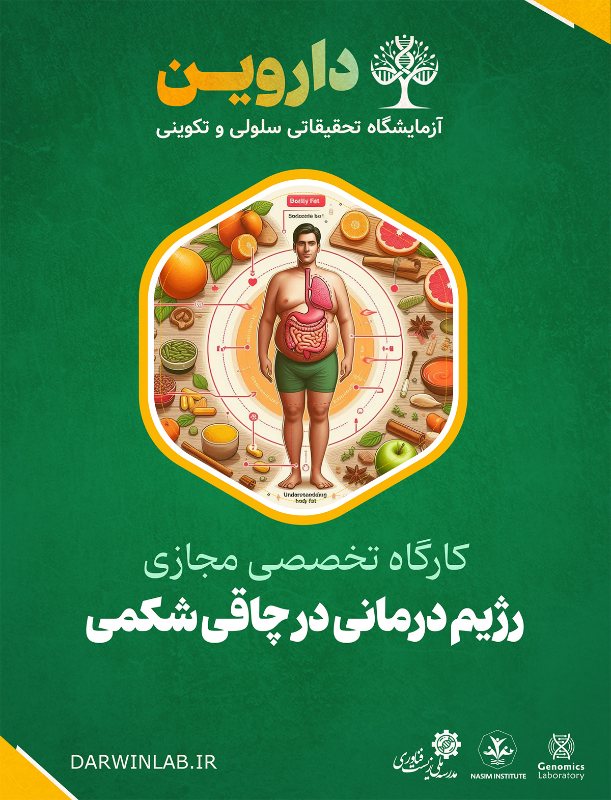 رژیم درمانی در چاقی شکمی