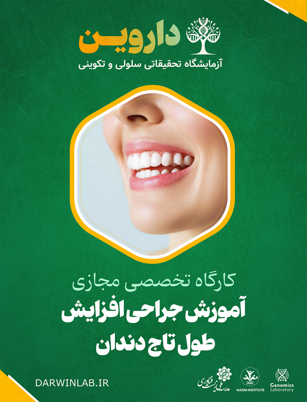 آموزش جراحی افزایش طول تاج دندان