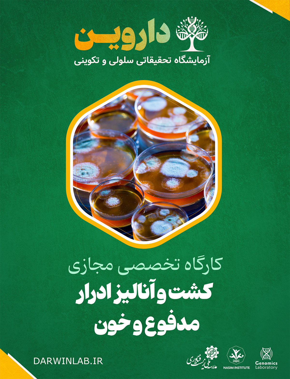 کشت و آنالیز ادرار، مدفوع و خون