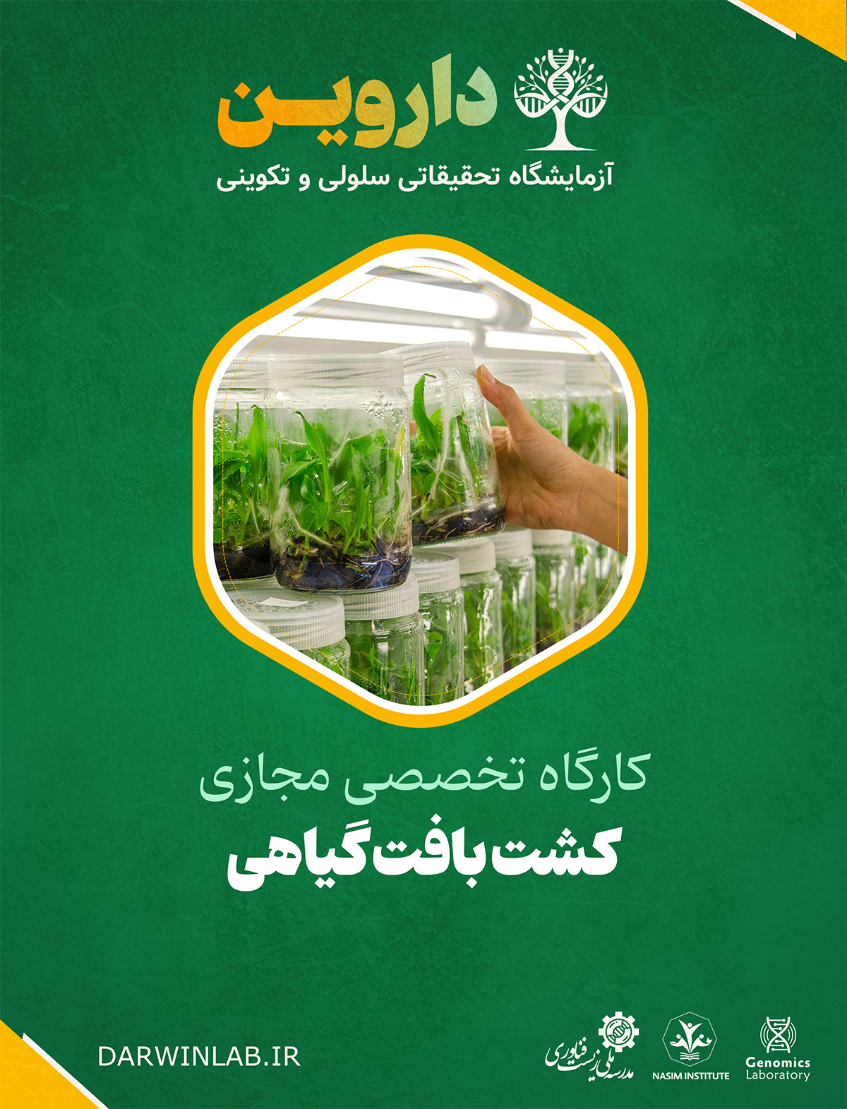 کشت بافت گیاهی