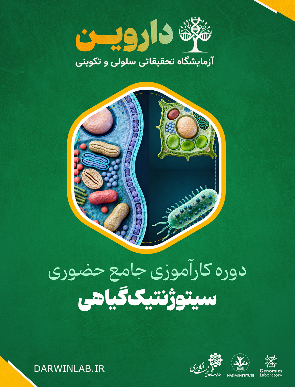 دوره کارآموزی بین المللی سیتوژنتیک گیاهی