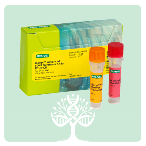 کیت ترانس کریپتاز معکوس (cDNA Synthesis)