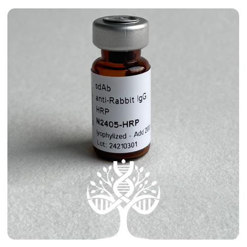 آنتی بادی ثانویه ضد Rabbit IgG نشاندار با HRP