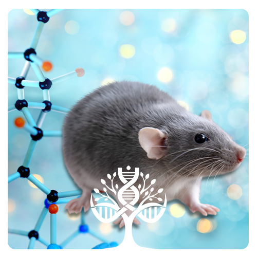 موش ناک اوت - Knockout Mouse