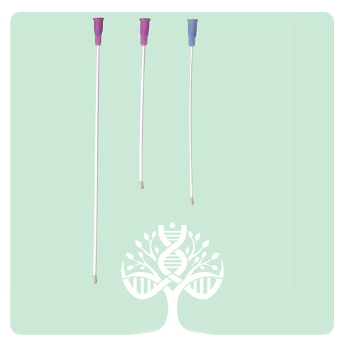 سوزن گاواژ موش - Mouse Gavage Needle