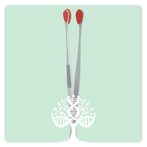 پنس نگهدارنده موش Mouse Handling Forceps