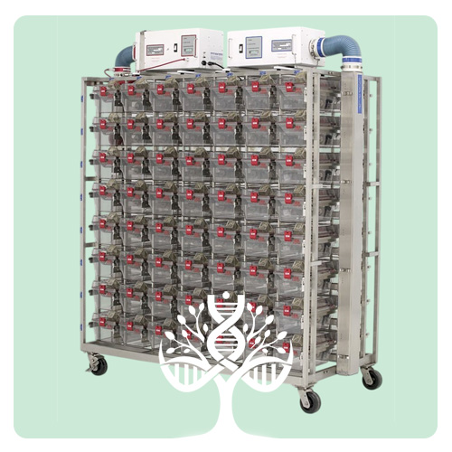 سیستم قفس IVC رت - Rat IVC Cage System