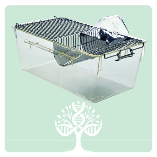 قفس پلی کربنات رت آزمایشگاهی Rat Polycarbonate Cage