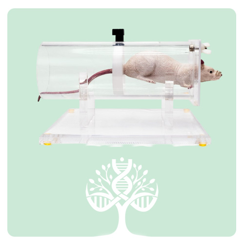 دستگاه مهار رت Rat Restraining Device