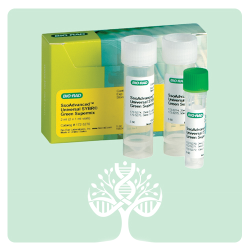 کیت Real-Time PCR سایبر گرین