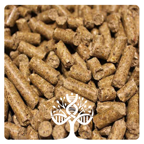 غذای پلت استاندارد موش Standard Mouse Pellet Feed