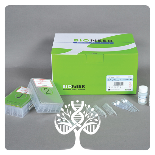 سرم جنین گاوی (FBS) درجه سلول کالچر