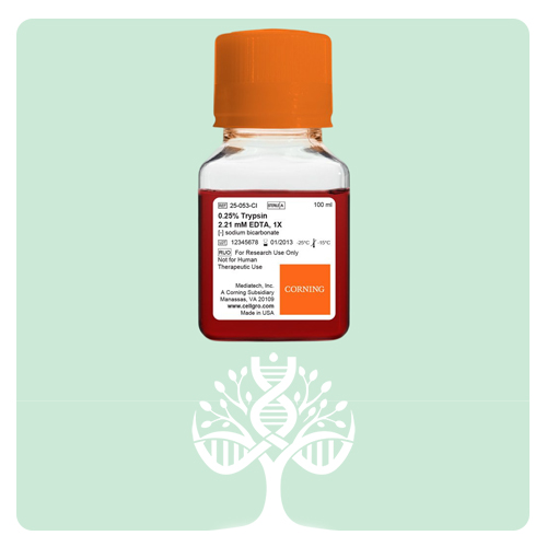 Trypsin-EDTA 0.25% تریپسین-EDTA 0.25٪